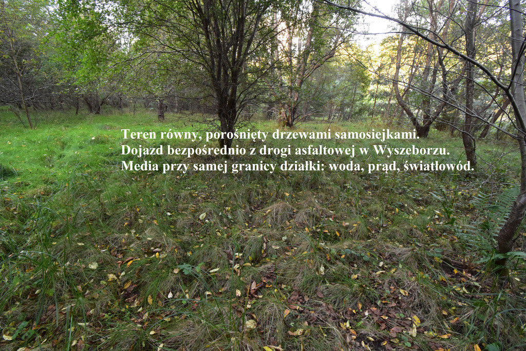 Wyszebórz działka inwestycjna z warunkami 2,6 ha