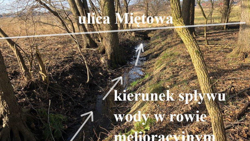 Działka Sprzedaż Koszalin Kretomino