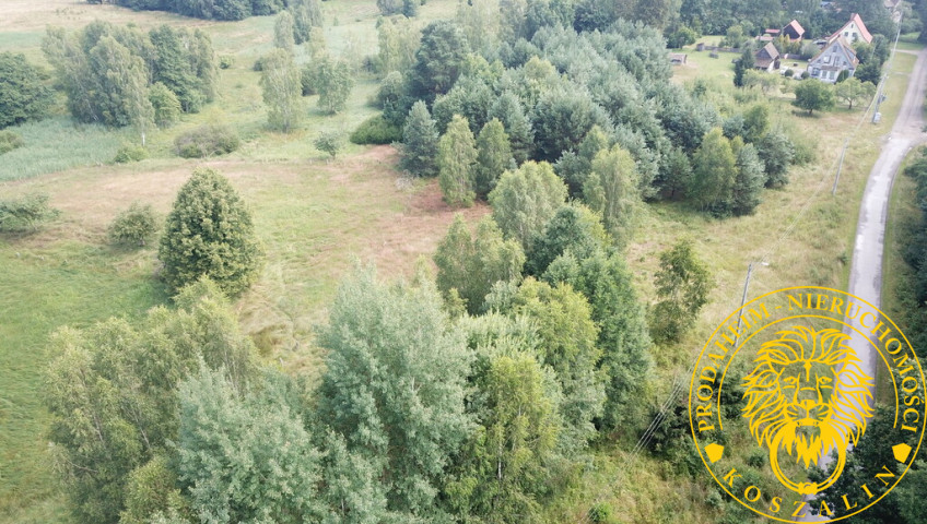 Działka Sprzedaż Wyszewo