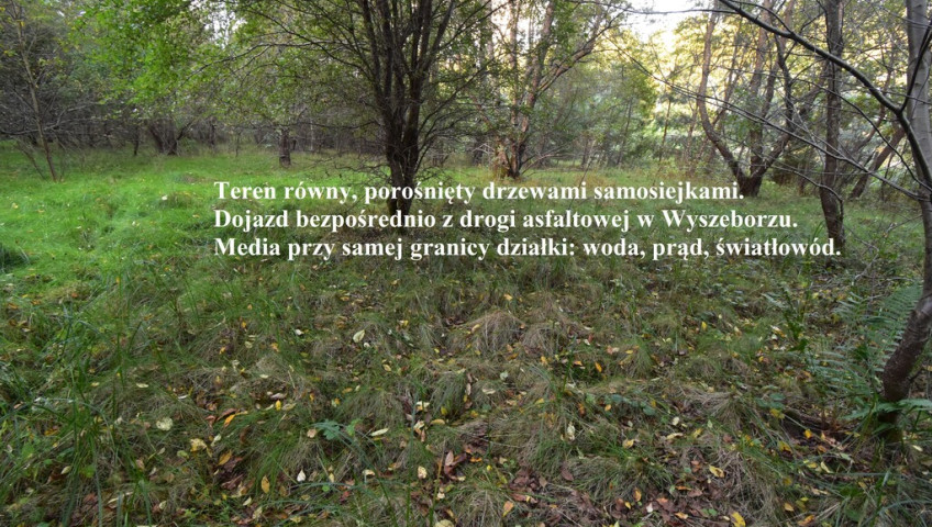 Działka Sprzedaż Wyszebórz